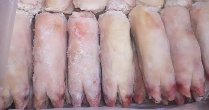 Frozen Pork feet_ tails and head